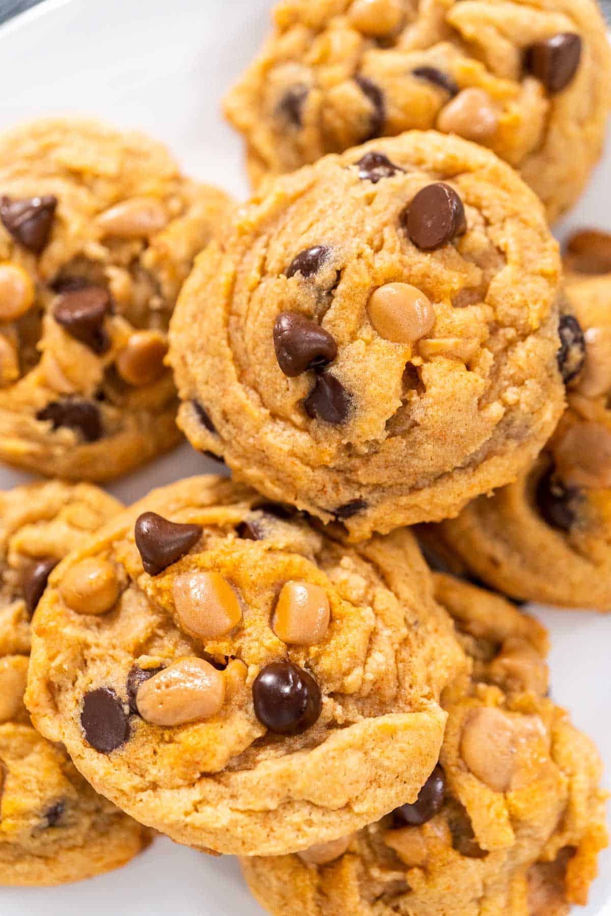 Chocolate Chip Butterscotch Cookies