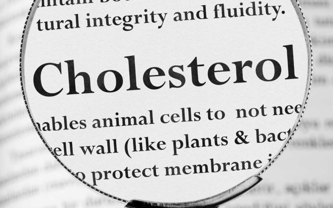 All About Cholesterol Workshop